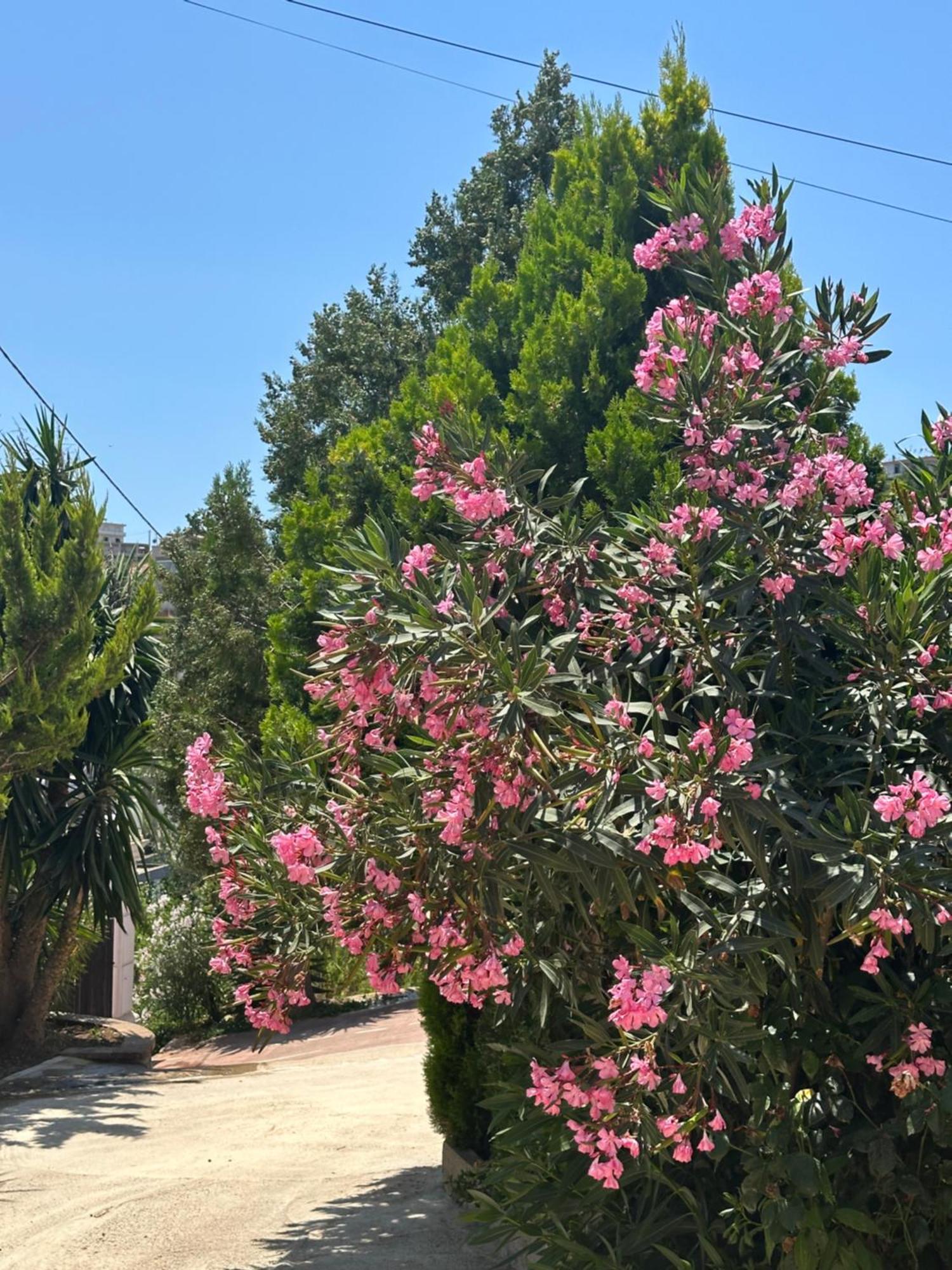 Panoramic Views Of Saranda Apartment Bagian luar foto